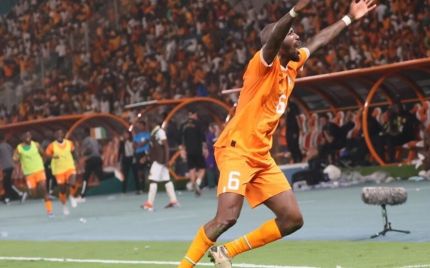 Les éléphants indomptables !